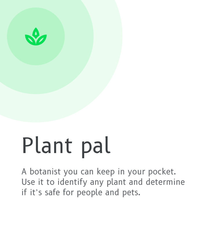 A botanist you can keep in your pocket. Use it to identify any plant and determine if it's safe for people and pets. 