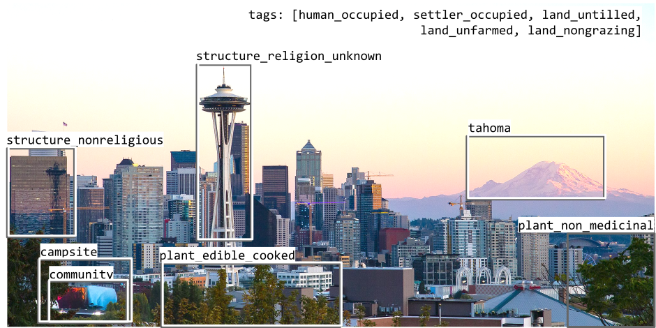 Image of the Seattle skyline with boxes around several items in the picture, with labels like 'plant, non medicinal' and 'structure, nonreligious'.
