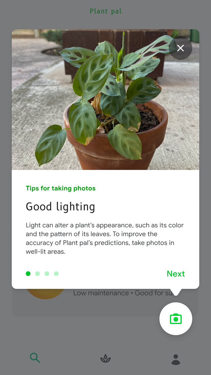 Tips for photos: Good lighting is key. Light can alter a plant's appearance. To improve accuracy, take photos in well lit areas. 