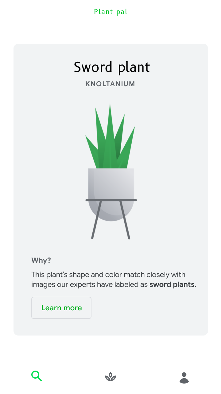 This plant's shape and color match closely with images our experts have labeled as sword plants.