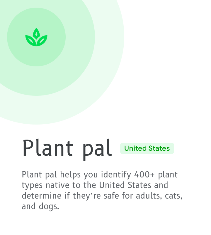 Plant pal helps you identify 400+ plant types native to the United States and determine if they're safe for adults, cats and dogs. 